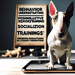 image showing miniature bull terrier training